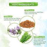 Rosemary Hair Growth Oil - Stimulate Hair Growth Rosemary Hair Growth Oil - Stimulate Hair Growth