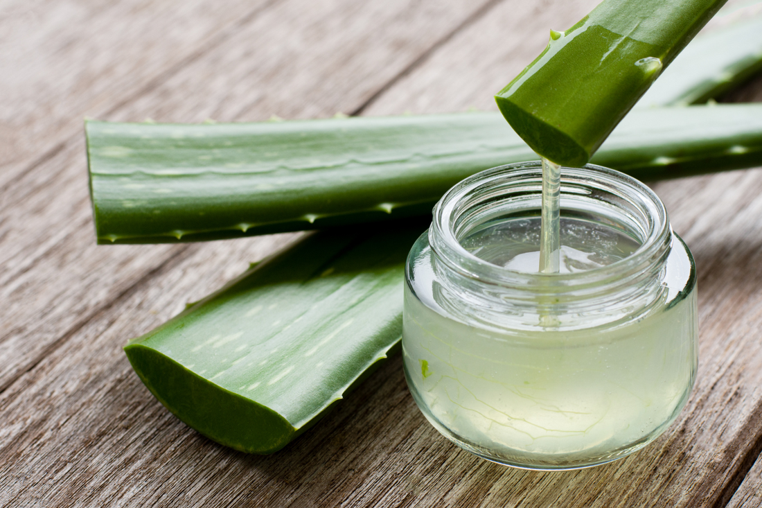 aloe vera face pack