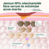 Niacinamide Face Serum for Blemish & Acne Mark Removal