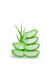 Skin Toner Lotion with Aloe Vera