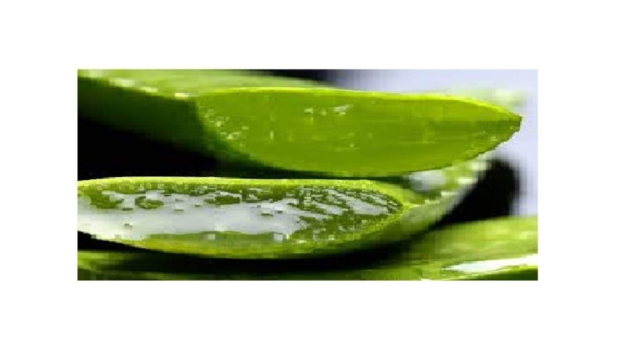 Herbal Astringent with Aloe Vera