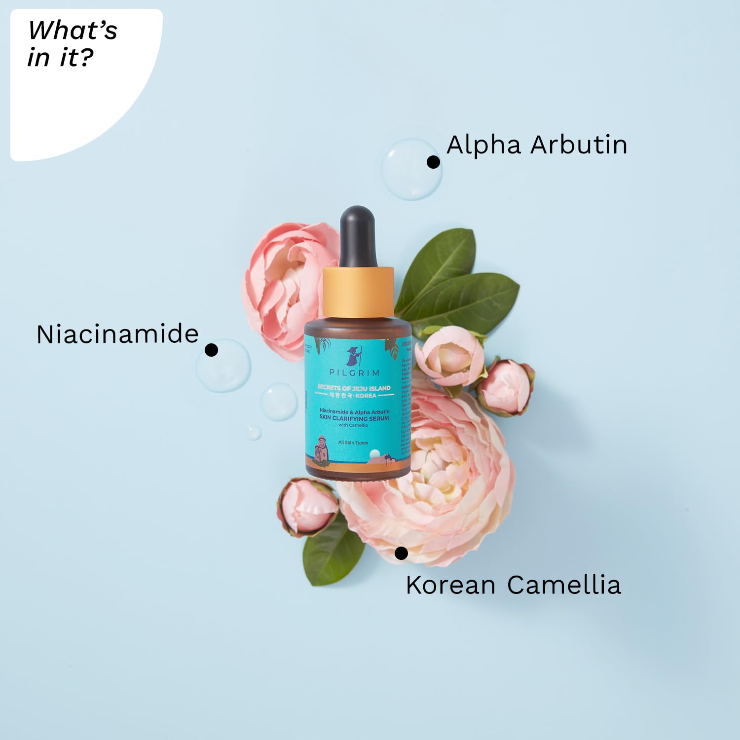 Niacinamide Alpha Arbutin Skin Clarifying Serum