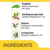 Amrutanjan Pain Balm - Fast Relief