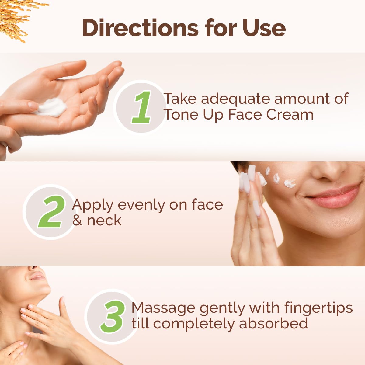 Rice Water Tone Up Face Cream