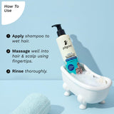 Mild Sulphate Free Shampoo For Dry Frizzy Hair