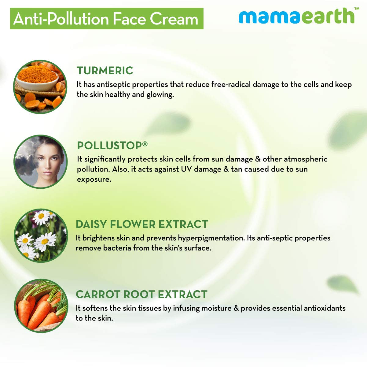 Anti-pollution Daily Face Cream With Turmeric