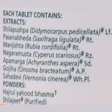 Cystone Ayurvedic Tablets