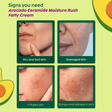 Moisture Rush Cream with Avocado and Ceramides