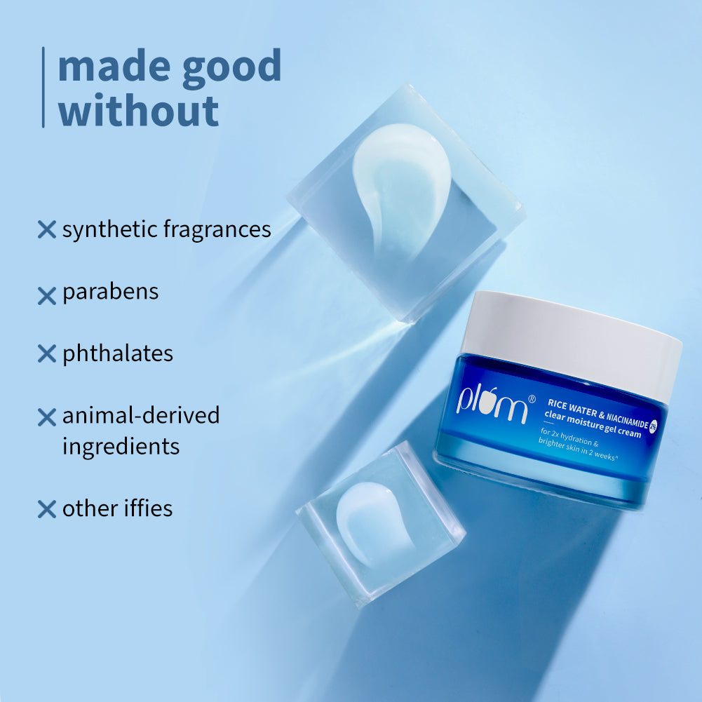 Niacinamide & Rice Water Gel Moisturizer