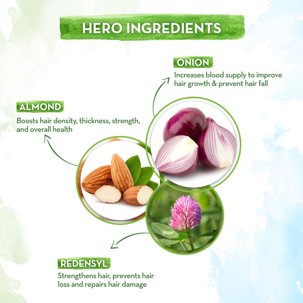 Onion Hair Oil - Hair Growth & Strength